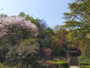 鎌倉中央公園